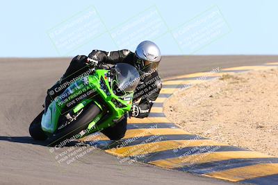 media/Feb-12-2022-SoCal Trackdays (Sat) [[3b21b94a56]]/Turn 12 (140pm)/